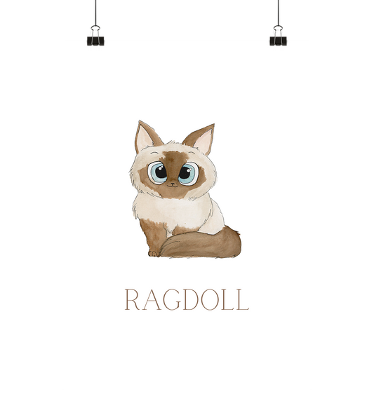 Ragdoll - Poster Din A4 (hoch) - wertvoll und geliebt 